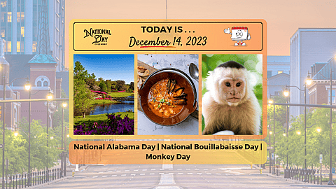 December 14, 2023