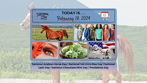 February 19, 2024
