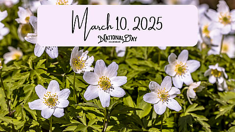March 10, 2025