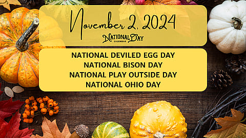 November 2, 2024