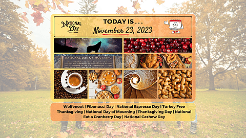 November 23, 2023
