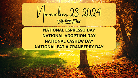 November 23, 2024