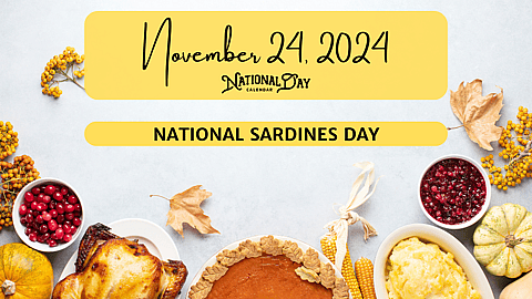 November 24, 2024