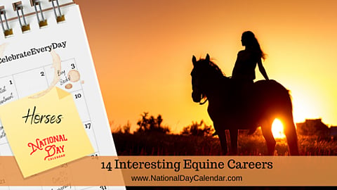 14 Interesting Equine Careers