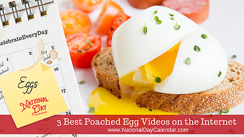 3 Best Poached Egg Videos on the Internet