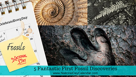 5 Fantastic First Fossil Discoveries