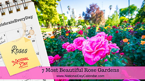 7 Most Beautiful Rose Gardens