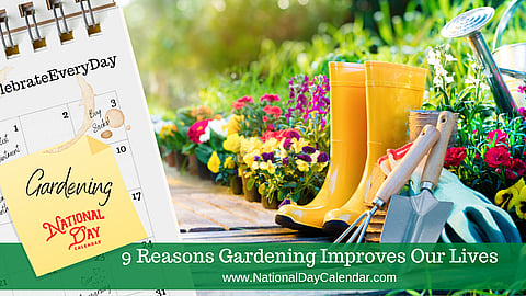 9 Reasons Gardening Improves Our Lives