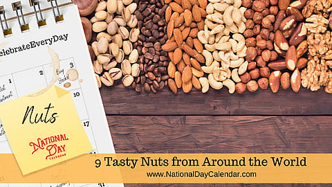 9 Tasty Nuts From Around The World