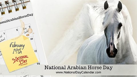 National Arabian Horse Day - February 19