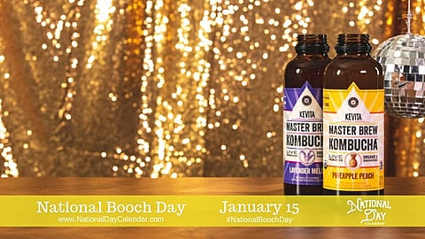 National Booch Day - January 15 (4)