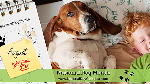National Dog Month - August