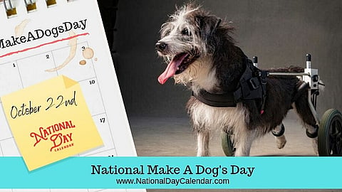 National Make A Dog's Day - October 22