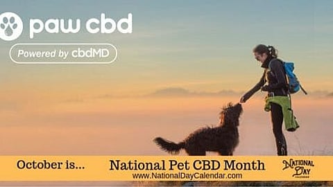 National Pet CBD Month