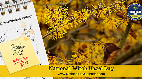 National Witch Hazel Day - October 21st