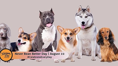 Never Bean Better Day - August 22