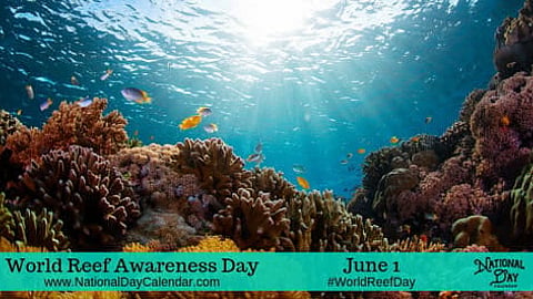 World Reef Awareness Day - June 1