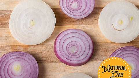 Pan-Fried Onion Slices