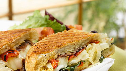 Spicy Caramelized Onion Basil and Roasted Red Pepper Panini