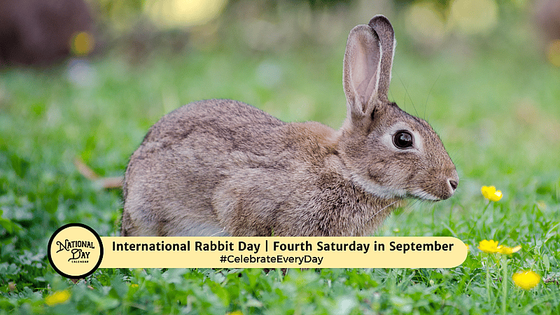 Sept Rabbit INTERNATIONAL RABBIT DAY - September 26, 2026 - National Day Calendar