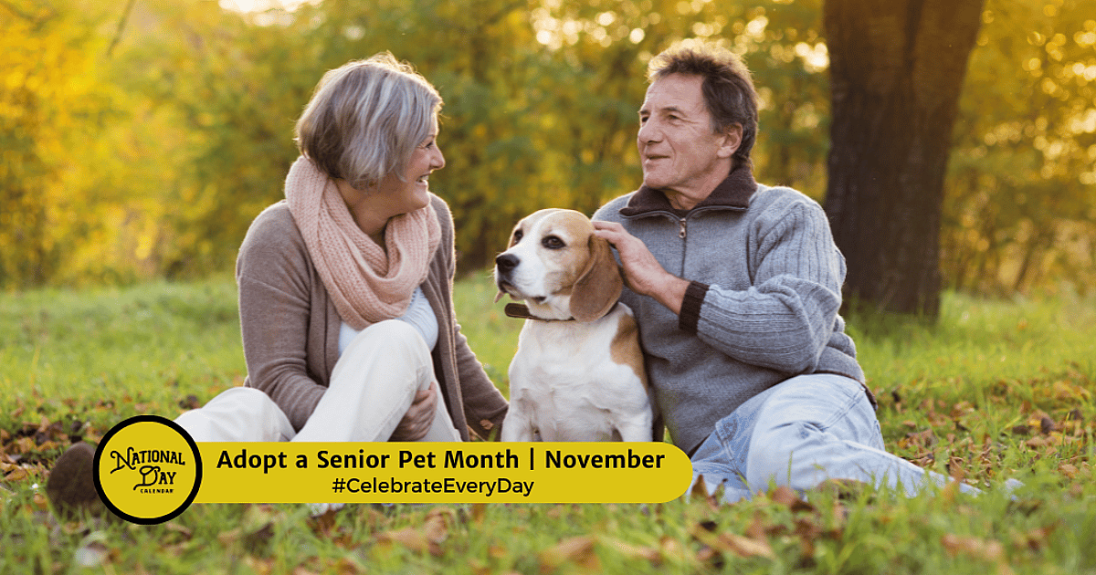 November Pets ADOPT A SENIOR PET MONTH - November 1, 2026 - National Day Calendar