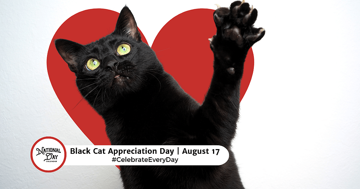 BLACK CAT APPRECIATION DAY - August 17, 2026 - National Day Calendar