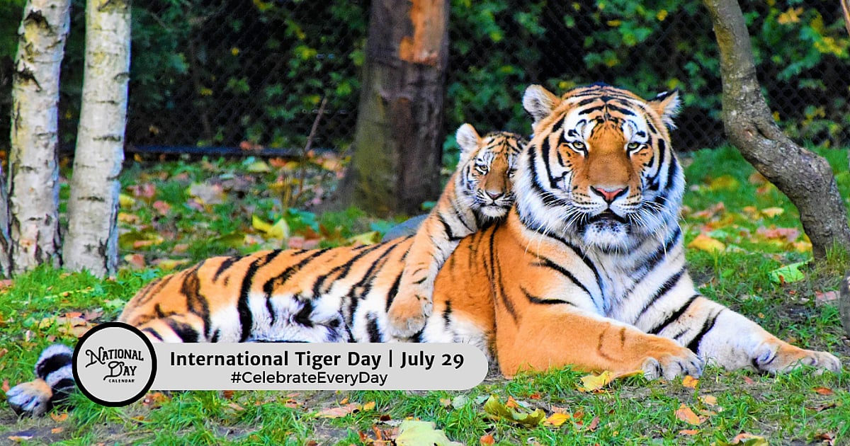 INTERNATIONAL TIGER DAY - July 29, 2026 - National Day Calendar