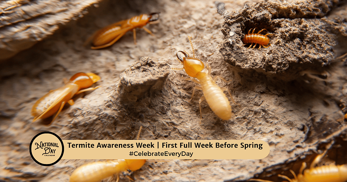 Spring Termite TERMITE AWARENESS WEEK | First Full Week Before Spring - - National Day ...