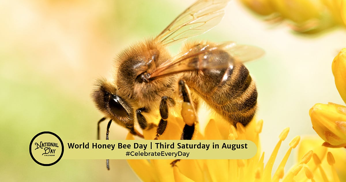 National Honey Bee Day Celebration at Del Valle, Livermore