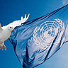 Disarmament Week