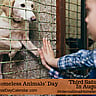 INTERNATIONAL HOMELESS ANIMALS’ DAY – Third Saturday in August
