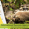 International Raccoon Appreciation Day - October 1