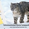 International Snow Leopard Day - October 23