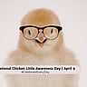 National Chicken Little Awareness Day