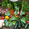 NATIONAL AG DAY | Thursday of Ag Week