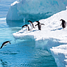 Antarctica Day