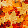 AUTUMNAL EQUINOX  Changes Annually