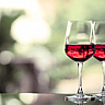 Cabernet Franc Day