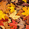 Color The World Orange Day