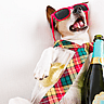 INTERNATIONAL HANGOVER DAY  Day After International Beer Day