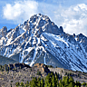 International Mountain Day