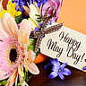 MAY DAY  May 1