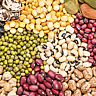 National Bean Day