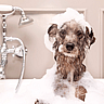 National Bubble Bath Day