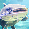 NATIONAL CATFISH DAY  June 25