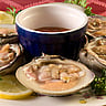 NATIONAL CLAMS ON THE HALF SHELL DAY