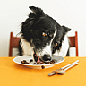 National Cook For Your Pets Day
