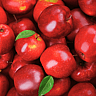 National Eat A Red Apple Day