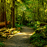 National Forest Products Week