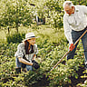 NATIONAL GARDENING EXERCISE DAY  June 6